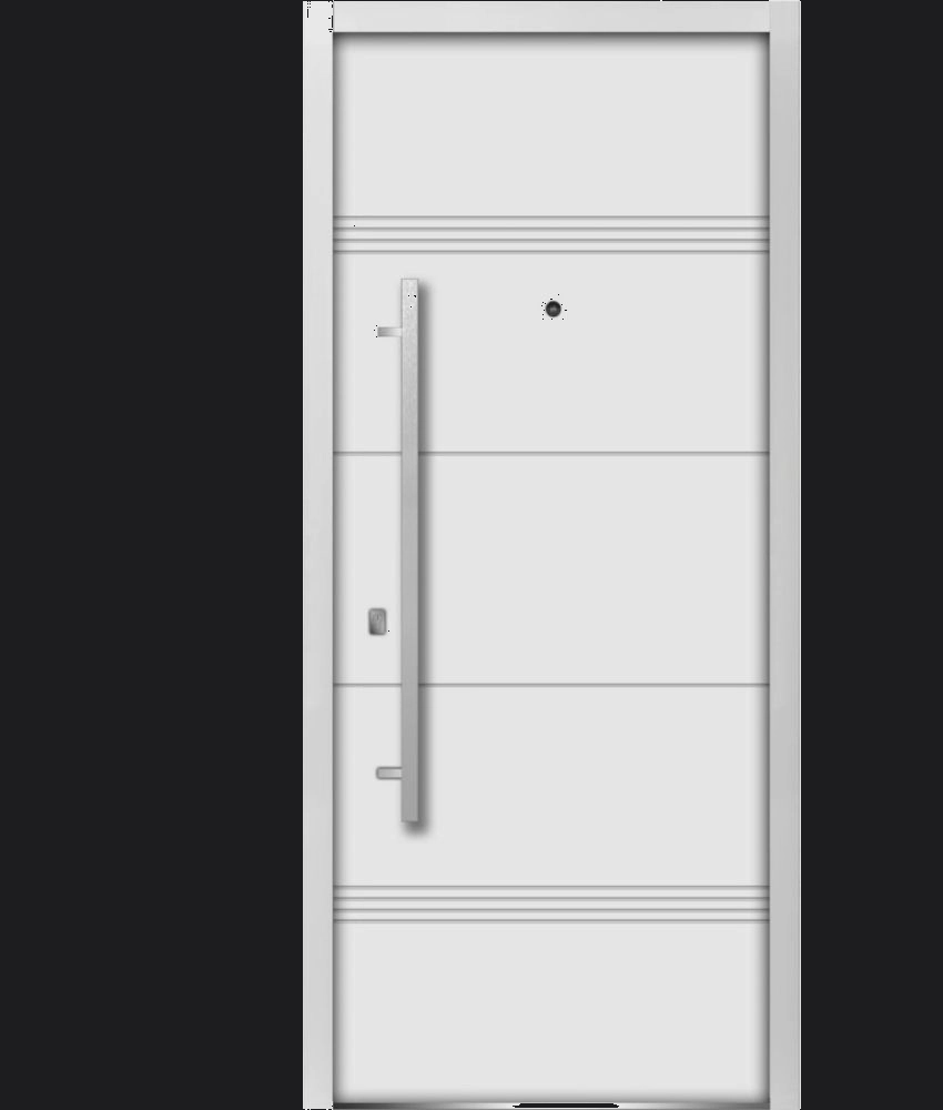 Modern exterior entry door